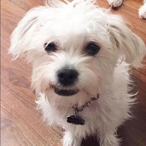 Meet your Posher, Terri